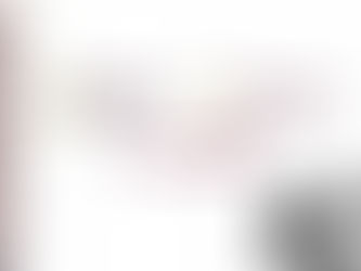 Cambia su acrónimo la Sedena, ahora es "Defensa"