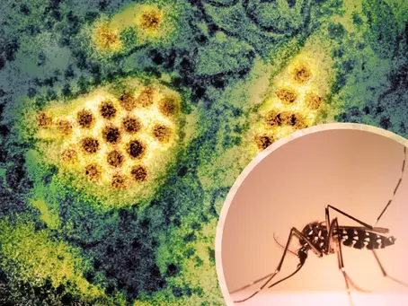 Los casos de Dengue se registran en Meoqui y Delicias