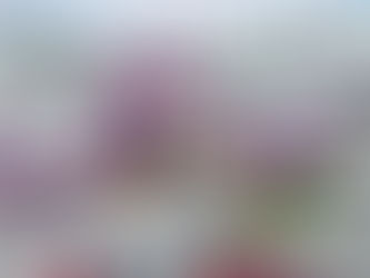 Asaltan casino en Chihuahua capital.