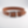 Stainless Steel Dog Collar Buckle
