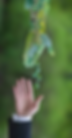 Valor_etica_ambiental.png