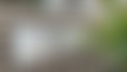 株式会社Gaku代表・中村が産業能率大学 経営学部講義に登壇