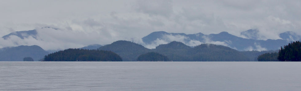 A moody, gray day. You can barely tell this is a color photograph.