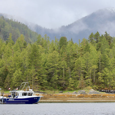 Day 18: Bishop Bay to Lowe Inlet