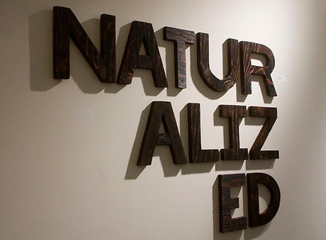 Installation view of Naturalized: The Immigrant Experience, by Pritika Chowdhry