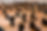 PritikaChowdhry_SilentWaters1.jpg
