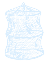 light-blue-net.png