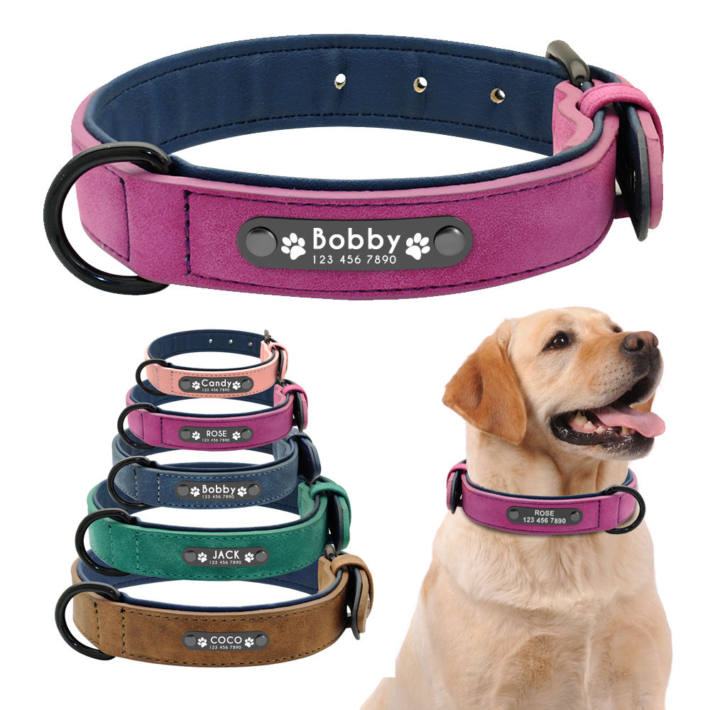 Personalised Leather Dog Collar – Custom Name ID Padded Pet Collar