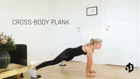 6D SLIDING Crossbody Plank.gif