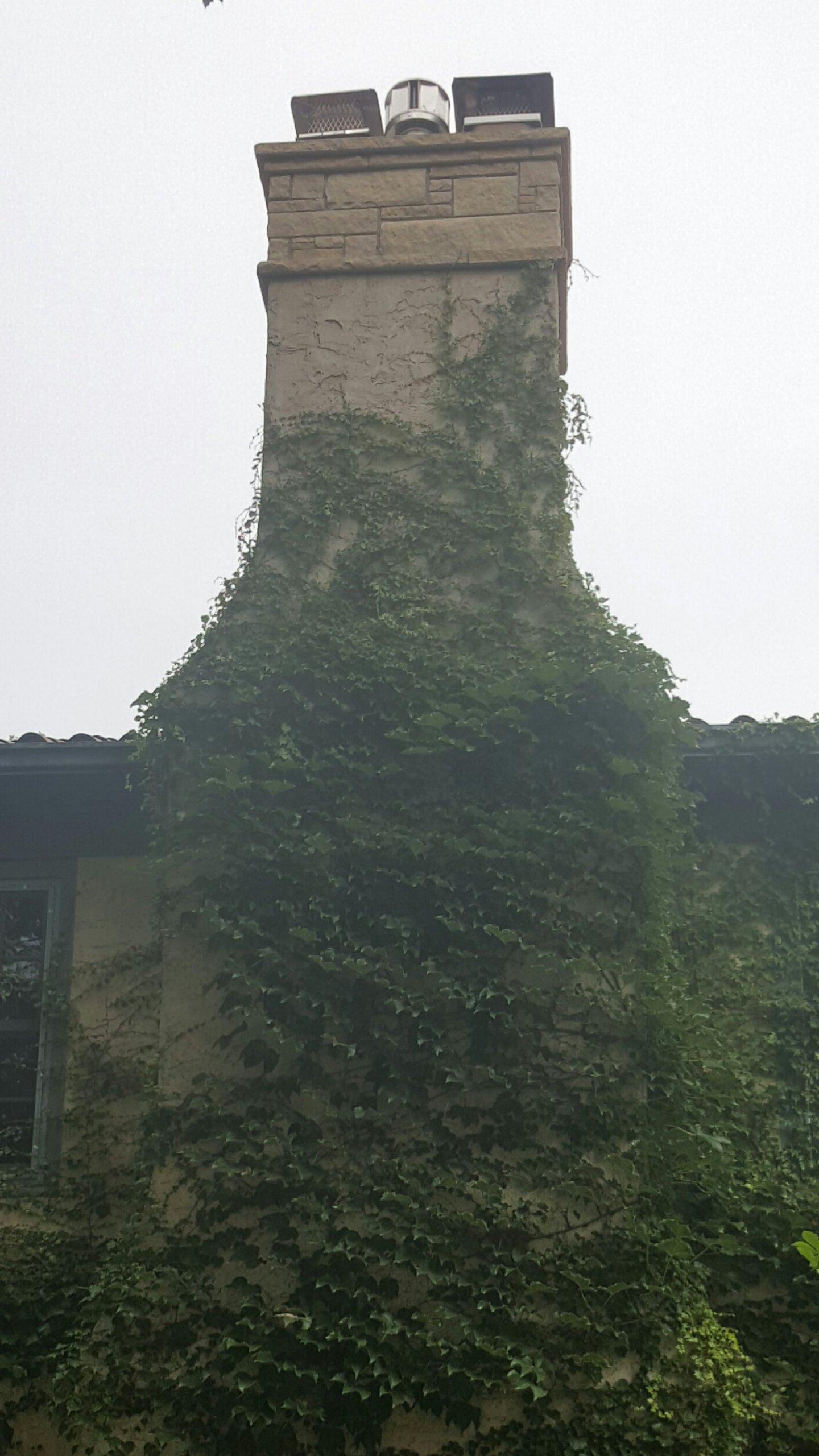 Ashler patterned Kasota stone crown (3).
