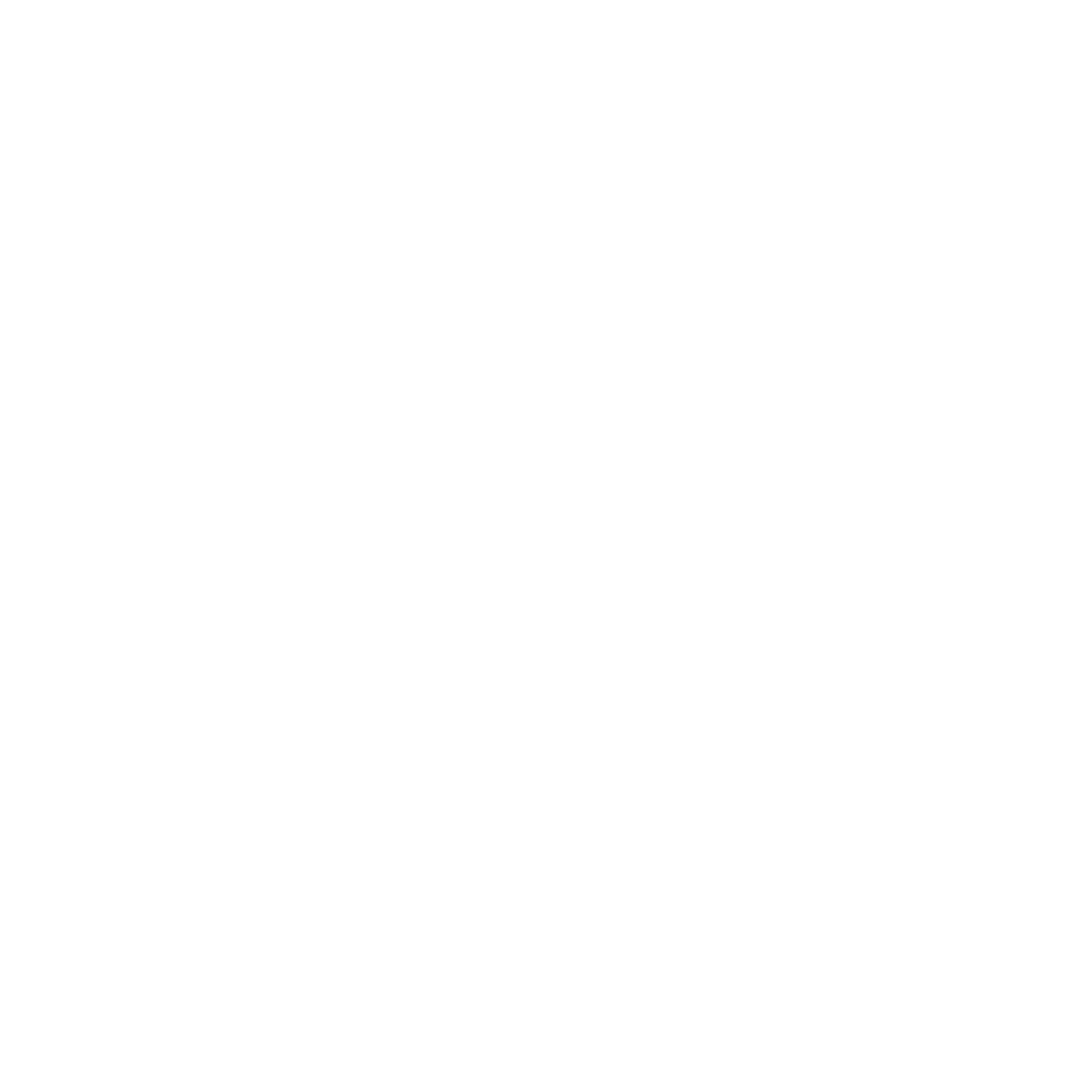 Oppi Full Logo (White).png