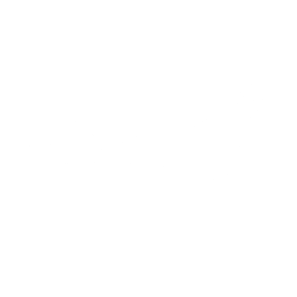 Oppi Full Logo (White) (1).png
