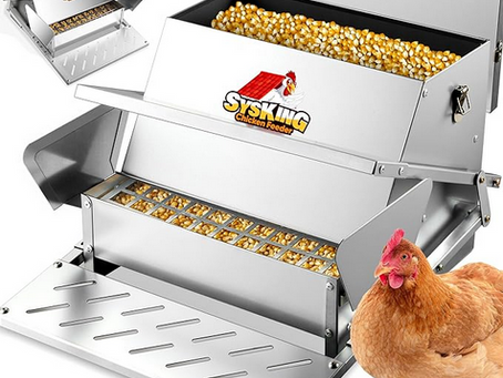 Sunday Insights: Bottom Line Product Review