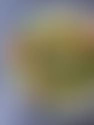 NEW POTATO, PEA AND OLIVE SALAD WITH FETA AND OAK SMOKED PAPRIKA PESTO DRESSING