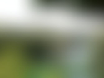 Mostar - A Balkan Beauty with a Haunting Past