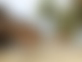 Cozumel - The Mexican Mayan Marvel