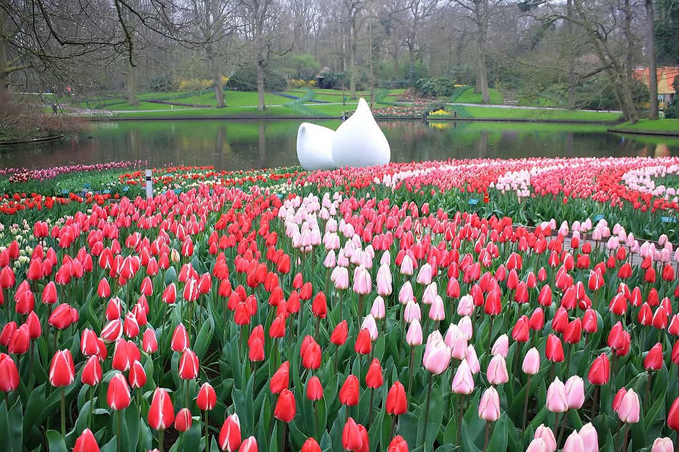 Keukenhof Gardens