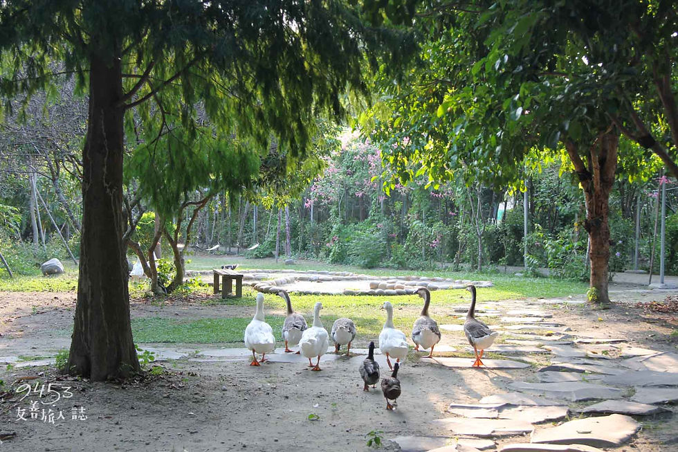 彰化花樹銀行生態教室