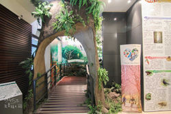 遊客中心內部展示