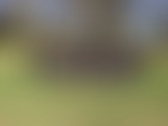 U14 Boys Rugby progress to finals