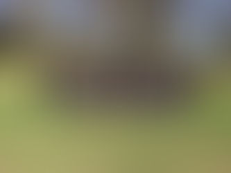 U14 Boys Rugby progress to finals