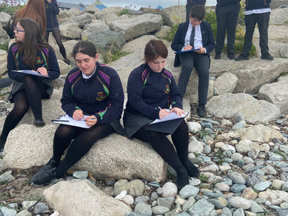 Year 9 Geographers take active interest in local environment