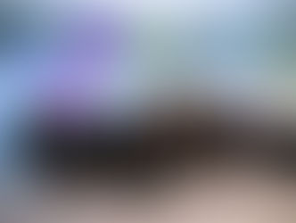 Year 10 Geographers contribute to Future Island Project