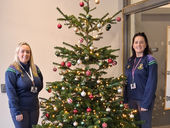 Getting ready for the festive season