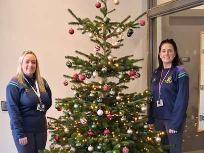 Getting ready for the festive season