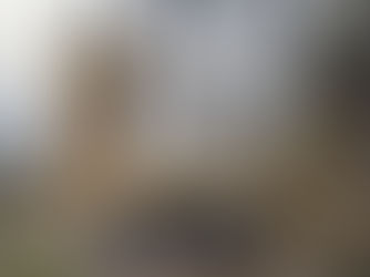 A Level Politics students visit Westminster