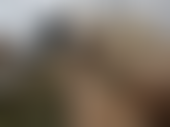 Let's Check On The Goats! Its been a few days!