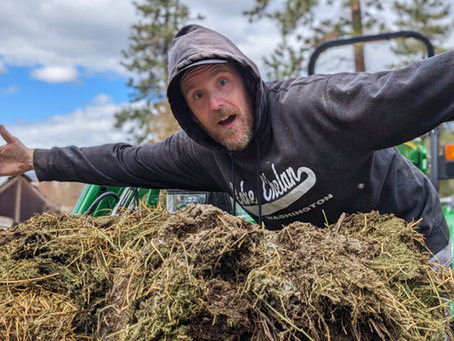 Transforming Compost into Lush Green Pasture!