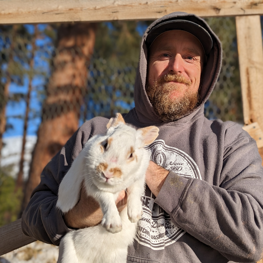 Till Rabbit Only 40 Days Until Spring. Its Time To Breed Our Rabbits and Fix Their ...