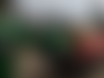 Things Just Got WAY Easier: Unloading A 1200LB Hay Bale