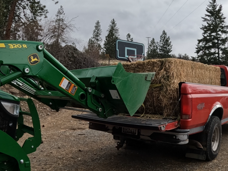 Things Just Got WAY Easier: Unloading A 1200LB Hay Bale