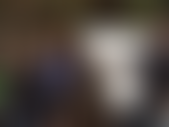 We Created a Safe and Secure Home For Our Ducks!