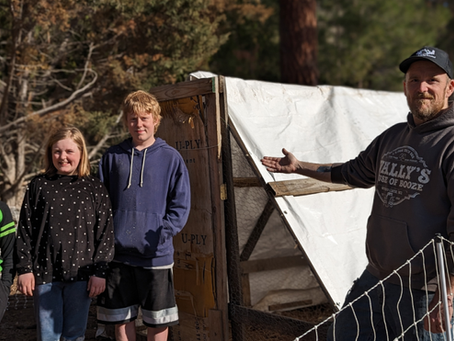 We Created a Safe and Secure Home For Our Ducks!