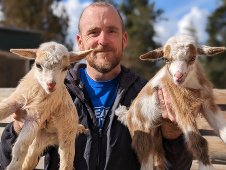 Our Goat Millie Had Twin Babies!