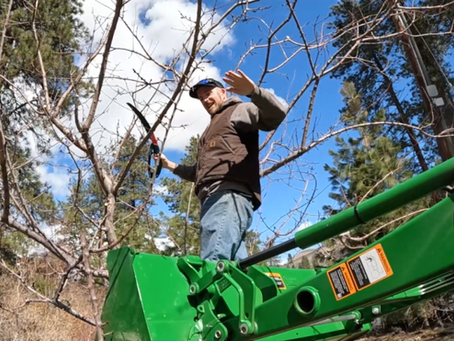 It was a good day for some spring cleaning and pruning around the homestead!