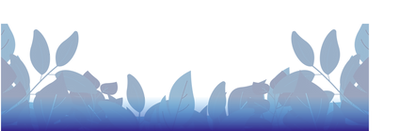 bottomborder.png