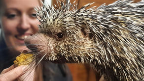 🎁Last Minute Christmas Gifts? We have got you sorted!🎁