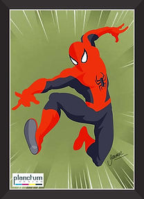 quadro aranha web.jpg