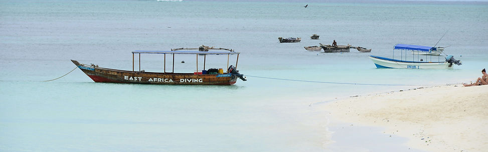 15-Day Combined Tanzania Safari & Zanzibar Holiday