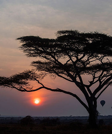 Meilleur safari de 3 jours au Serengeti et au Ngorongoro depuis Zanzibar