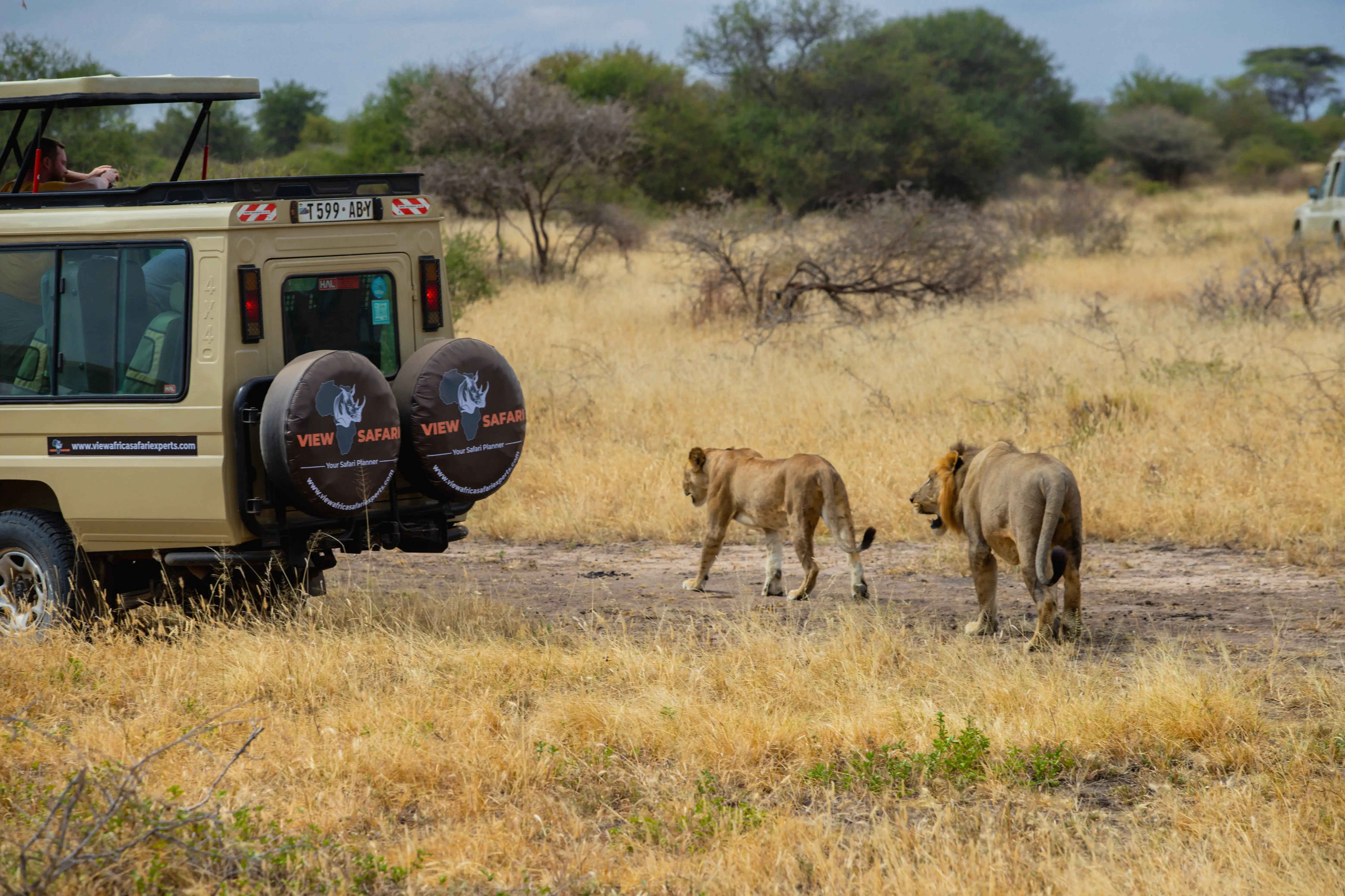 The Ultimate Tanzania Safari & Zanzibar Beach Guide (2026/27 Itinerary)