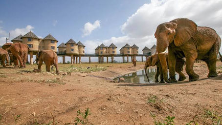 Best Tsavo East and Tsavo West Safari Guide 2026/2027