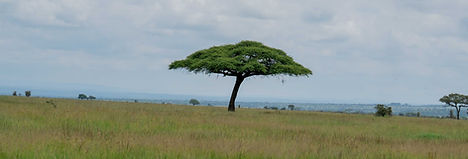 DSC09987.jpg