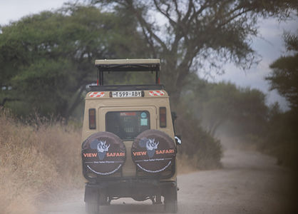 4 Tage private Serengeti-Last-Minute-Safari ab Sansibar