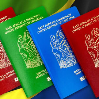 Guía completa para obtener la visa de Tanzania en 2026: requisitos, costos, visa electrónica, visa a la llegada, viajes a Zanzíbar, cruces fronterizos con Kenia y mucho más.