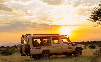 Best Kenya and Tanzania Safari Packages 2026/2027